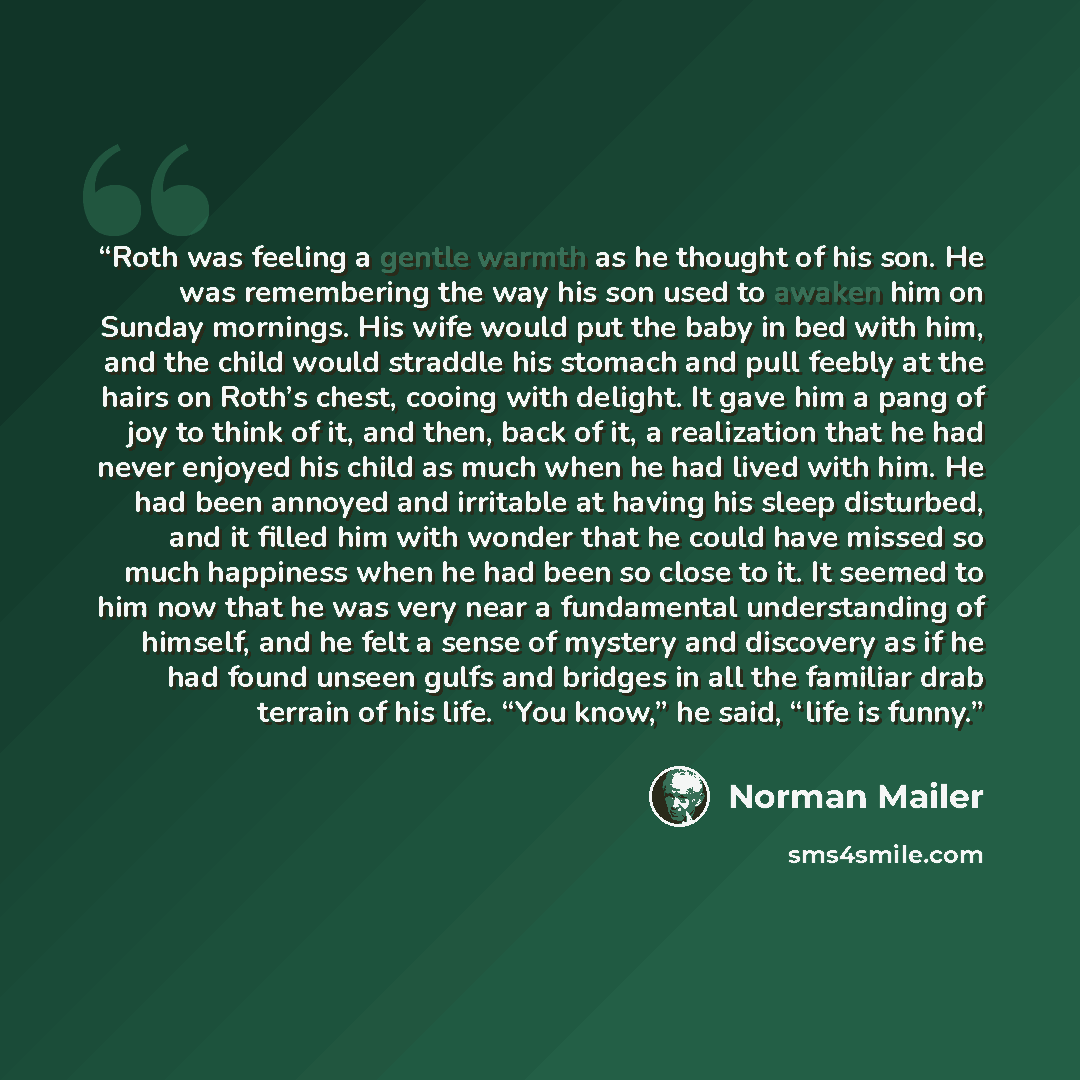 “Roth was feeling a gentle warmth as he thought of his son. He was remembering the way his son used to awaken him on Sunday mornings. His wife would put the baby in bed with him, and the child would straddle his stomach and pull feebly at the hairs on Roth’s chest, cooing with delight. It gave him…” quote by Norman Mailer