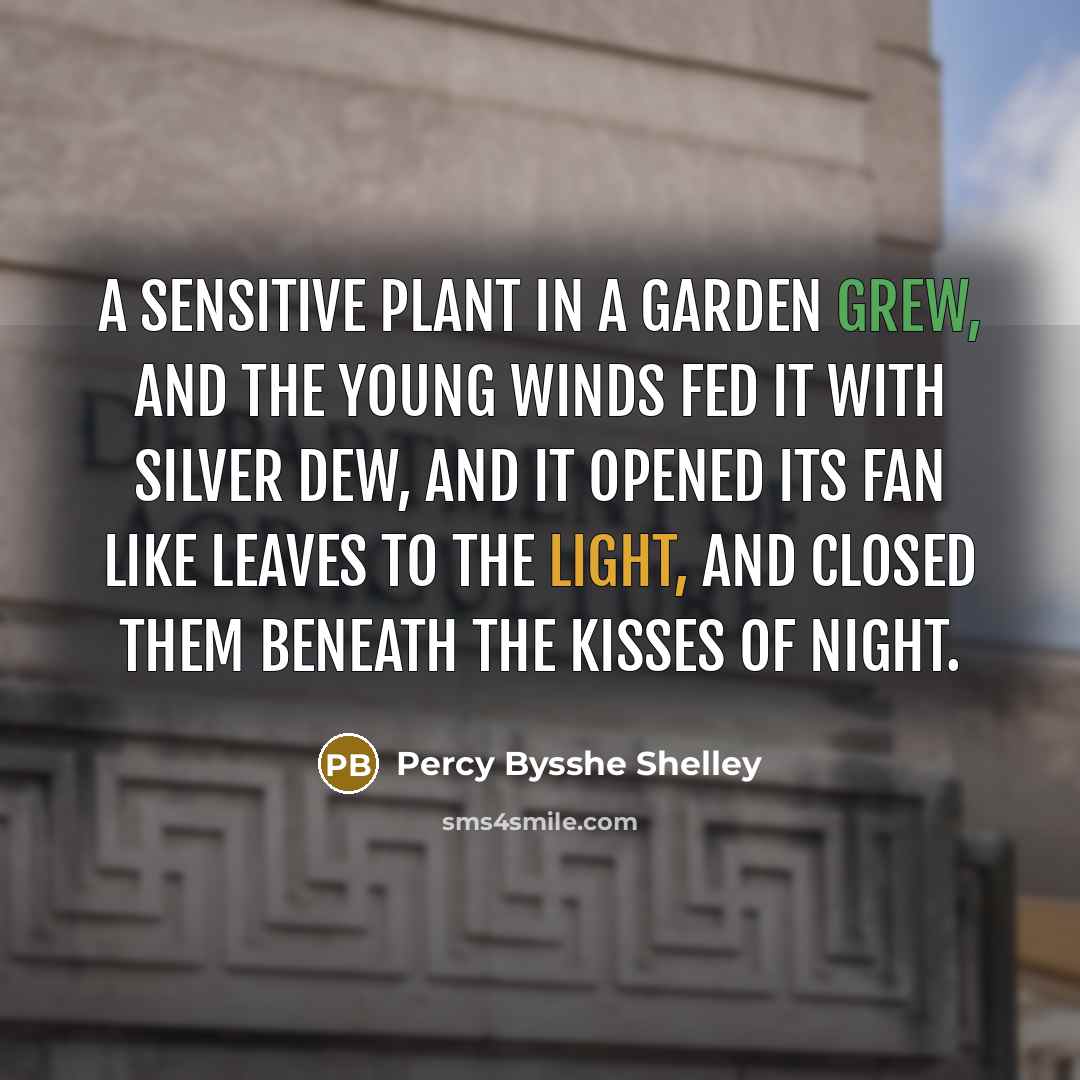 “A sensitive plant in a garden grew, And the young winds fed it with silver dew, And it opened its fan like leaves to the light, and closed them beneath the kisses of night.” quote by Percy Bysshe Shelley