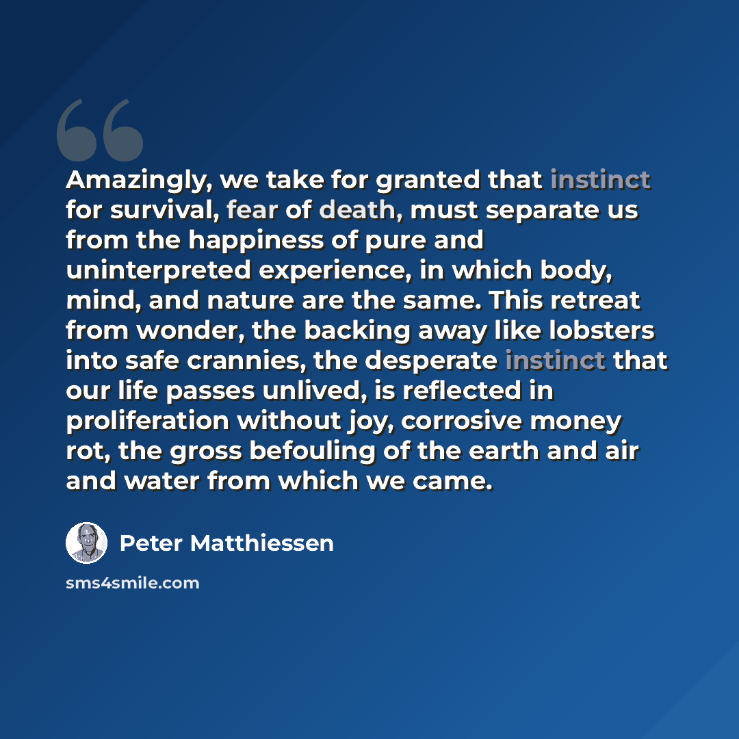 “Amazingly, we take for granted that instinct for survival, fear of death, must separate us from the happiness of pure and uninterpreted experience, in which body, mind, and nature are the same. This retreat from wonder, the backing away like lobsters into safe crannies, the desperate instinct that…” quote by Peter Matthiessen