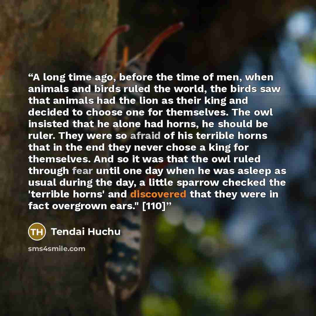 “A long time ago, before the time of men, when animals and birds ruled the world, the birds saw that animals had the lion as their king and decided to choose one for themselves. The owl insisted that he alone had horns, he should be ruler. They were so afraid of his terrible horns that in the end…” quote by Tendai Huchu
