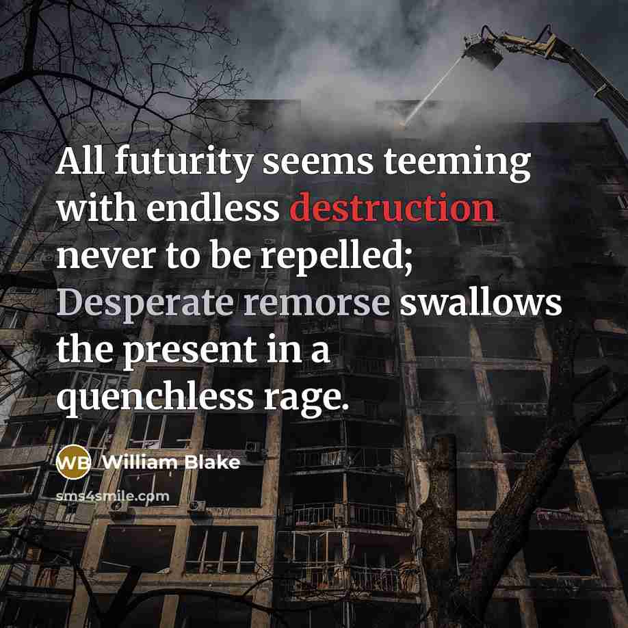 “All futurity seems teeming with endless destruction never to be repelled; Desperate remorse swallows the present in a quenchless rage.” quote by William Blake