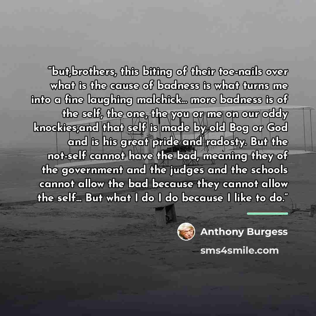 “but,brothers, this biting of their toe-nails over what is the cause of badness is what turns me into a fine laughing malchick... more badness is of the self, the one, the you or me on our oddy knockies,and that self is made by old Bog or God and is his great pride and radosty. But the not-self…” quote by Anthony Burgess