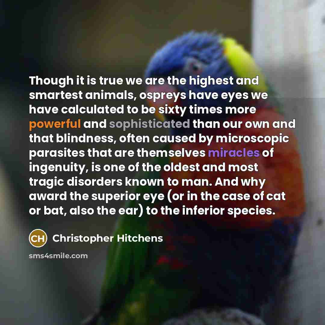 “Though it is true we are the highest and smartest animals, ospreys have eyes we have calculated to be sixty times more powerful and sophisticated than our own and that blindness, often caused by microscopic parasites that are themselves miracles of ingenuity, is one of the oldest and most tragic…” quote by Christopher Hitchens