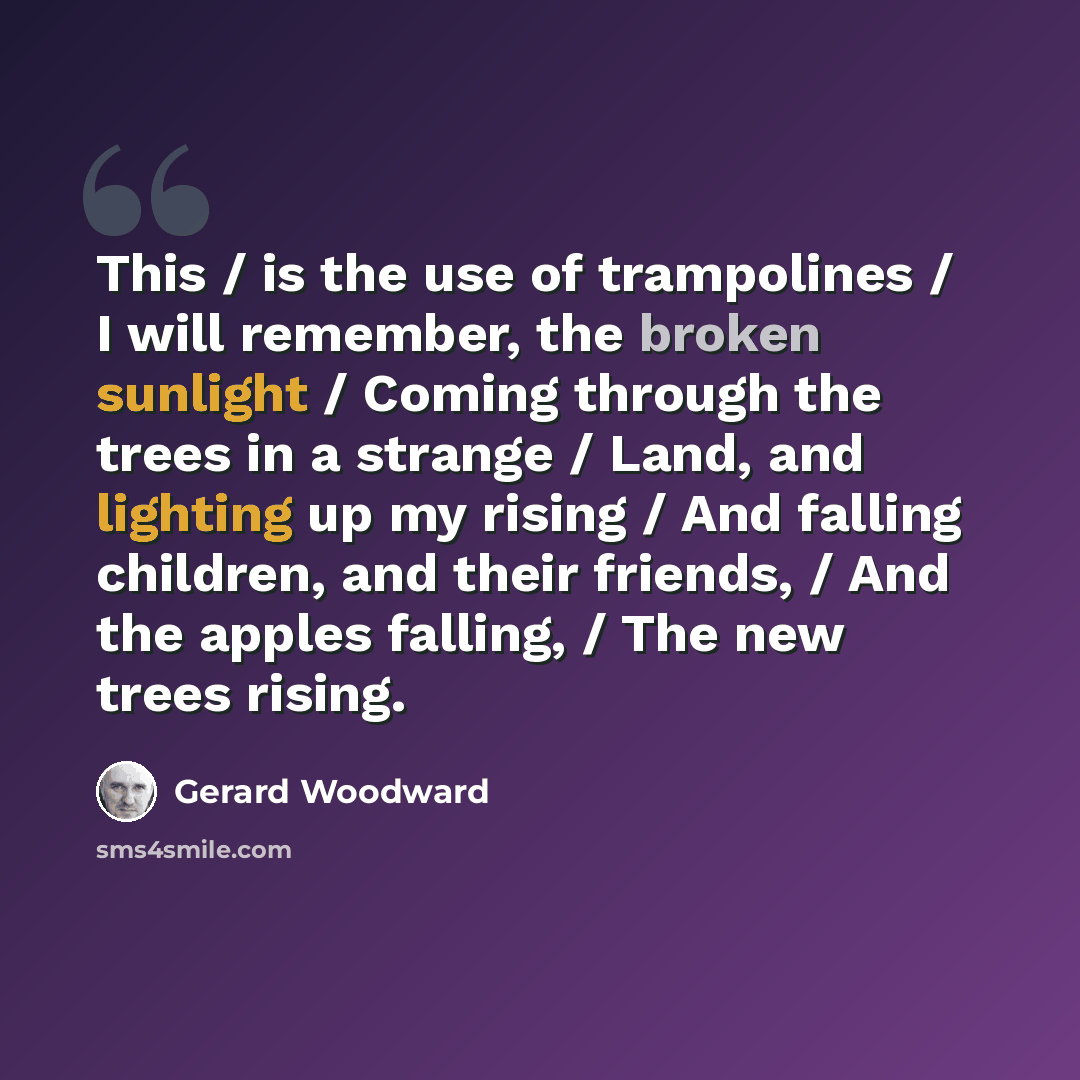 “This / is the use of trampolines / I will remember, the broken sunlight / Coming through the trees in a strange / Land, and lighting up my rising / And falling children, and their friends, / And the apples falling, / The new trees rising.” quote by Gerard Woodward