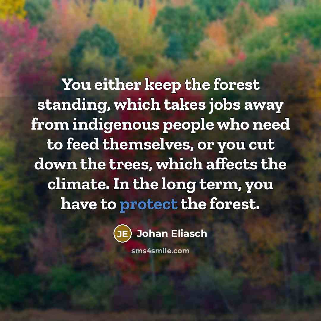 “You either keep the forest standing, which takes jobs away from indigenous people who need to feed themselves, or you cut down the trees, which affects the climate. In the long term, you have to protect the forest.” quote by Johan Eliasch