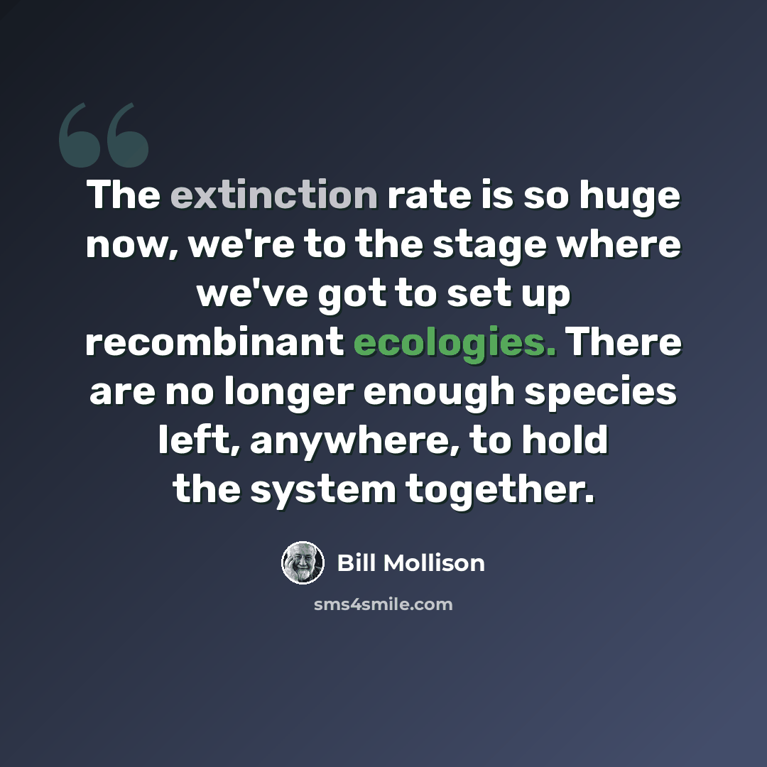 “The extinction rate is so huge now, we're to the stage where we've got to set up recombinant ecologies. There are no longer enough species left, anywhere, to hold the system together.” quote by Bill Mollison