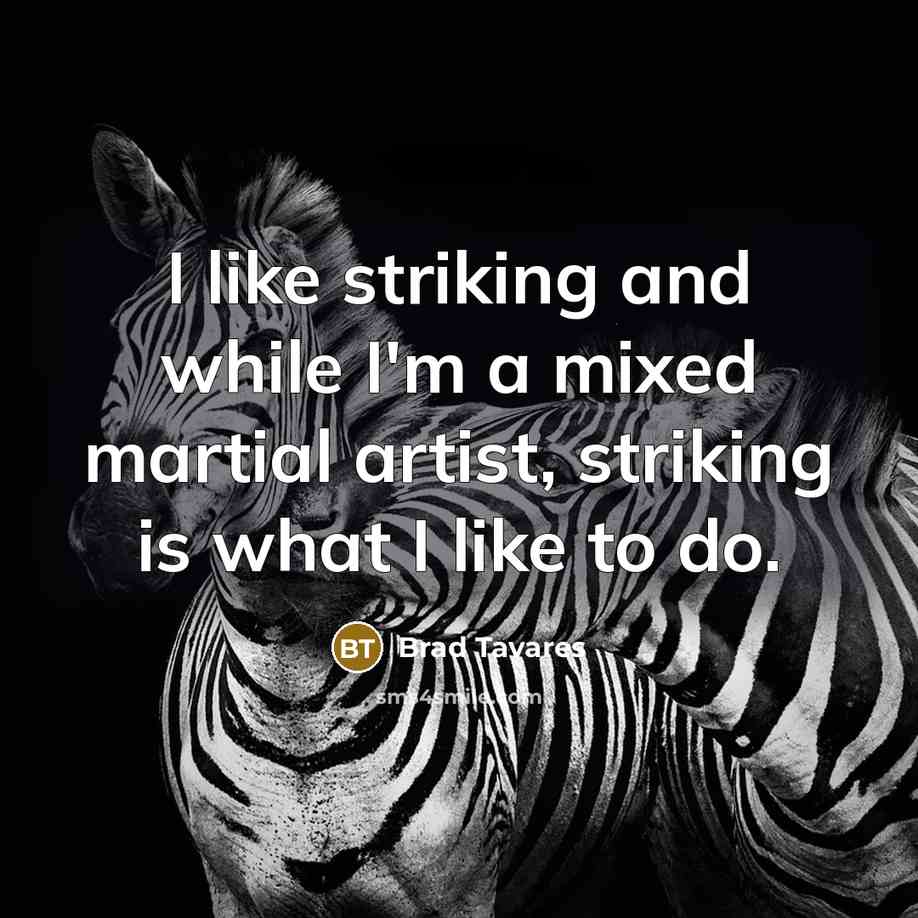 “I like striking and while I'm a mixed martial artist, striking is what I like to do.” quote by Brad Tavares