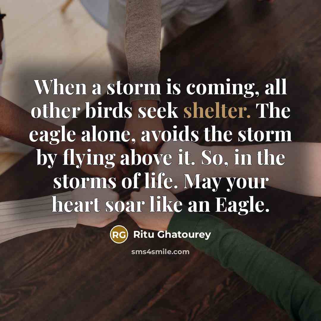 “When a storm is coming, all other birds seek shelter. The eagle alone, avoids the storm by flying above it. So, in the storms of life. May your heart soar like an Eagle.” quote by Ritu Ghatourey