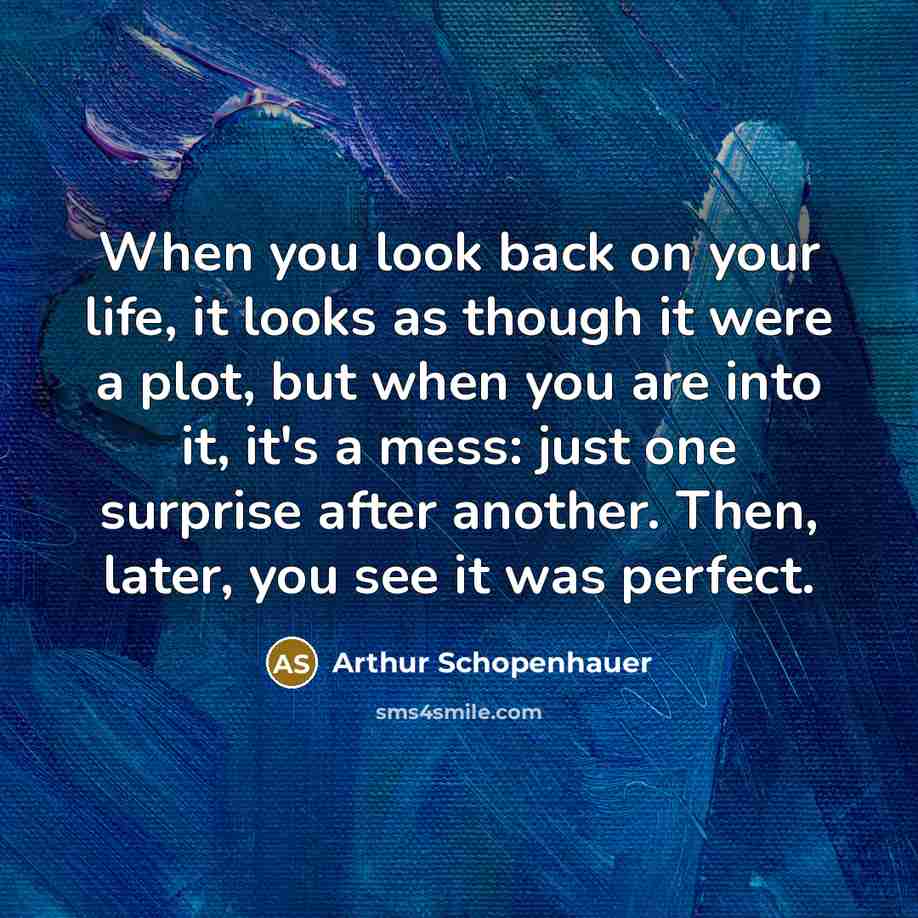“When you look back on your life, it looks as though it were a plot, but when you are into it, it's a mess: just one surprise after another. Then, later, you see it was perfect.” quote by Arthur Schopenhauer