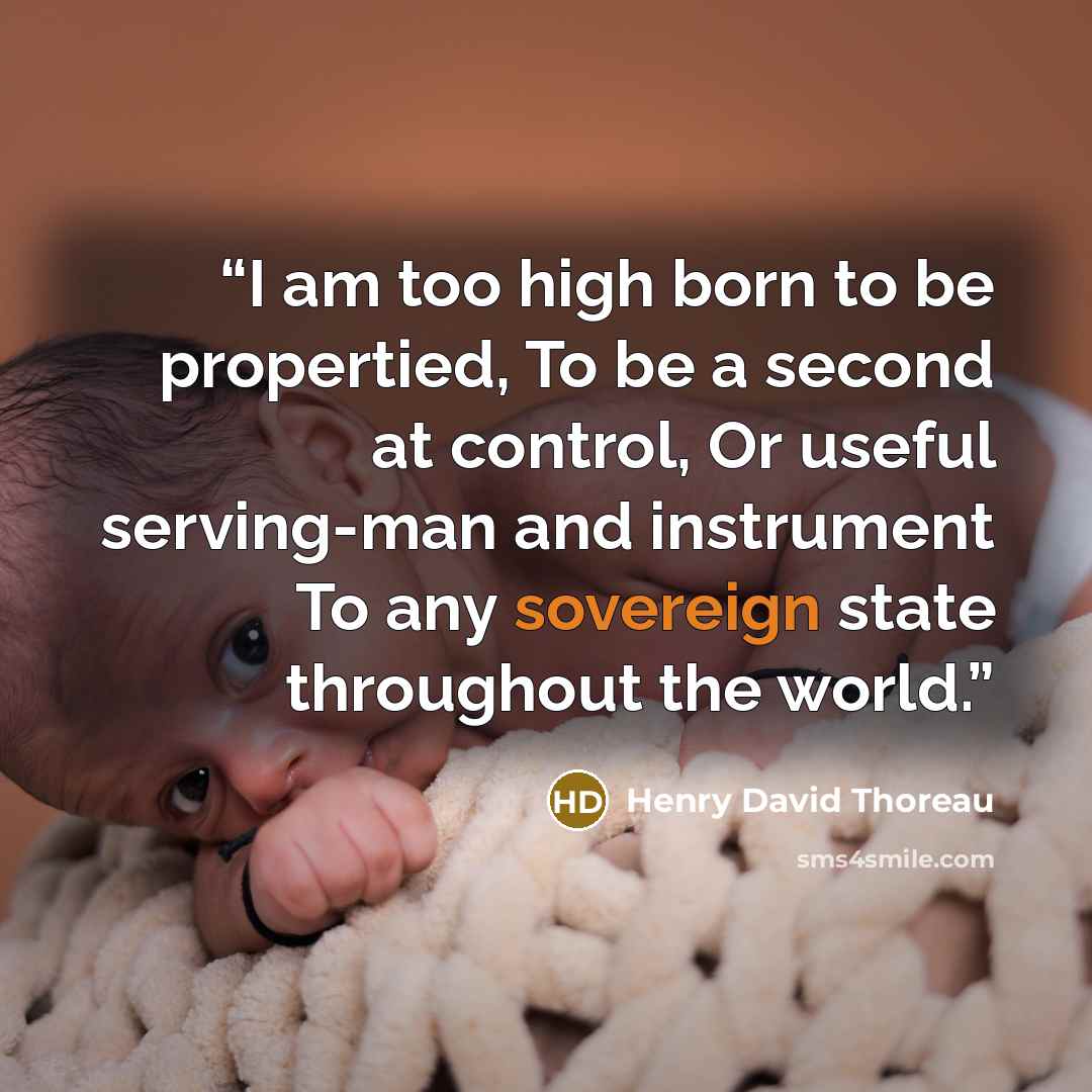 “I am too high born to be propertied, To be a second at control, Or useful serving-man and instrument To any sovereign state throughout the world.” quote by Henry David Thoreau