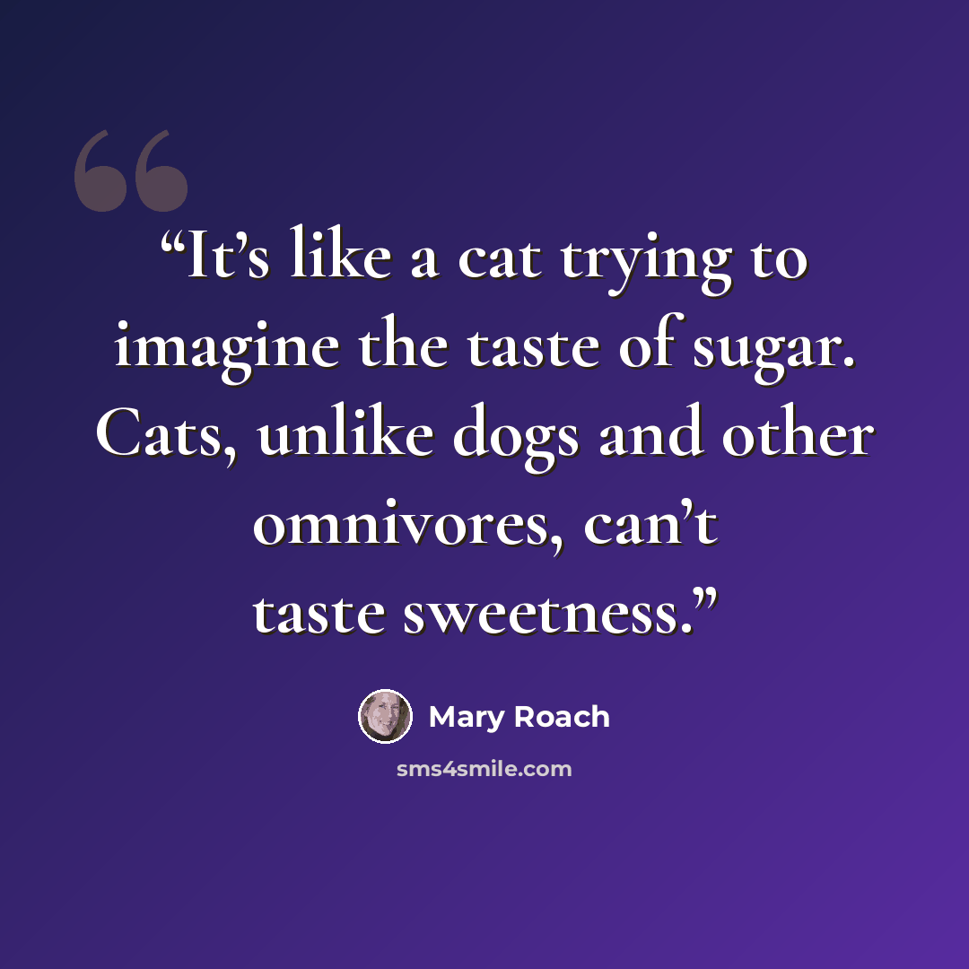 “It’s like a cat trying to imagine the taste of sugar. Cats, unlike dogs and other omnivores, can’t taste sweetness.” quote by Mary Roach