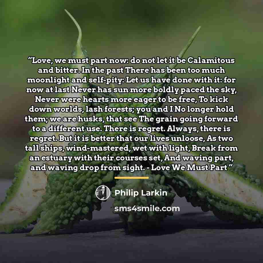 “Love, we must part now: do not let it be Calamitous and bitter. In the past There has been too much moonlight and self-pity: Let us have done with it: for now at last Never has sun more boldly paced the sky, Never were hearts more eager to be free, To kick down worlds, lash forests; you and I No…” quote by Philip Larkin