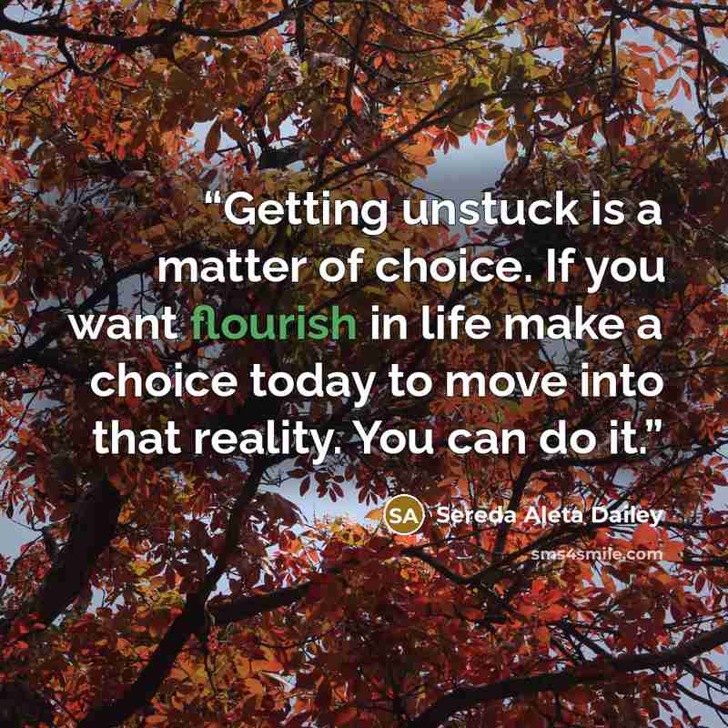 “Getting unstuck is a matter of choice. If you want flourish in life make a choice today to move into that reality. You can do it.” quote by Sereda Aleta Dailey
