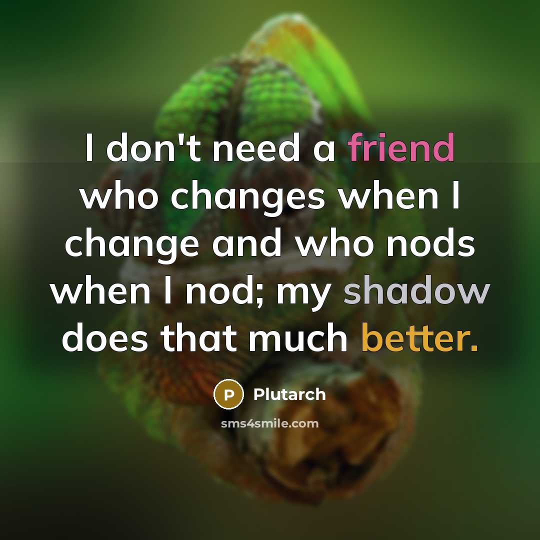 “I don't need a friend who changes when I change and who nods when I nod; my shadow does that much better.” quote by Plutarch