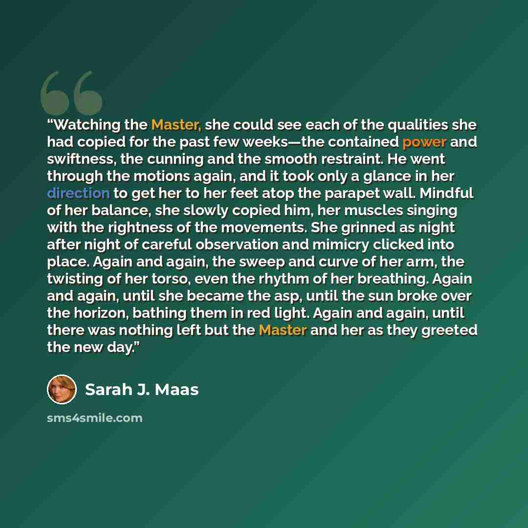 “Watching the Master, she could see each of the qualities she had copied for the past few weeks—the contained power and swiftness, the cunning and the smooth restraint. He went through the motions again, and it took only a glance in her direction to get her to her feet atop the parapet wall…” quote by Sarah J. Maas