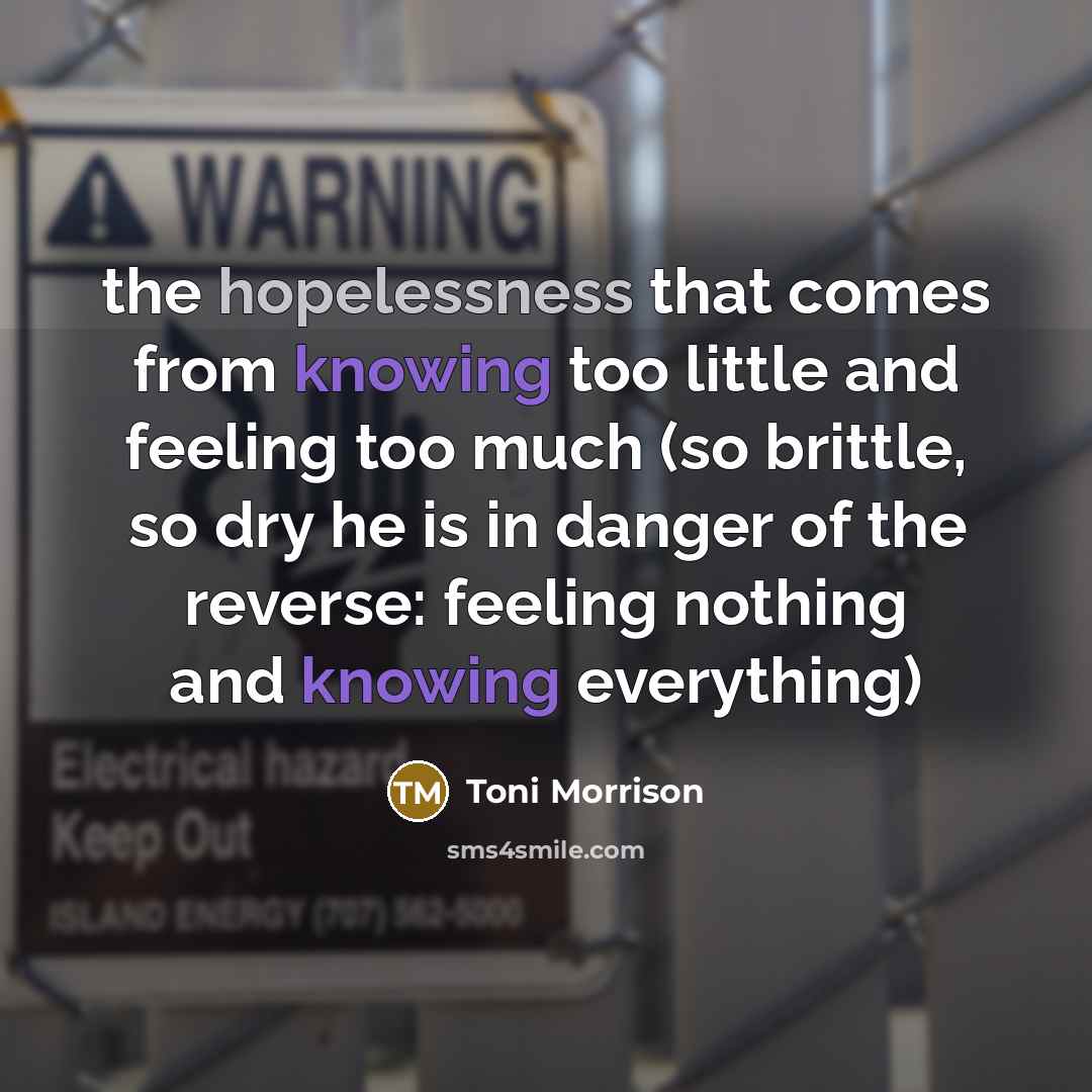 “the hopelessness that comes from knowing too little and feeling too much (so brittle, so dry he is in danger of the reverse: feeling nothing and knowing everything)” quote by Toni Morrison