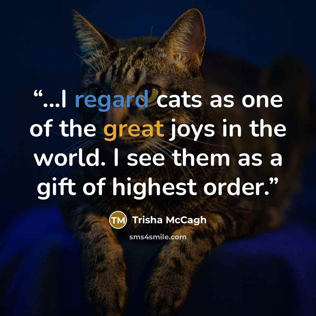 “...I regard cats as one of the great joys in the world. I see them as a gift of highest order.” quote by Trisha McCagh