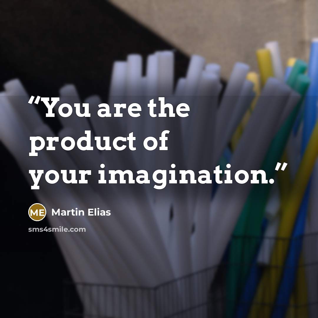 “You are the product of your imagination.” quote by Martin Elias