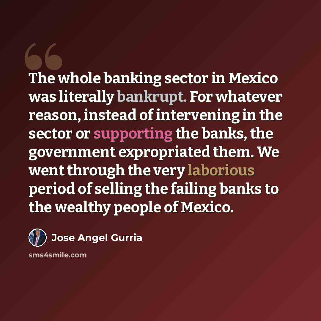 “The whole banking sector in Mexico was literally bankrupt. For whatever reason, instead of intervening in the sector or supporting the banks, the government expropriated them. We went through the very laborious period of selling the failing banks to the wealthy people of Mexico.” quote by Jose Angel Gurria