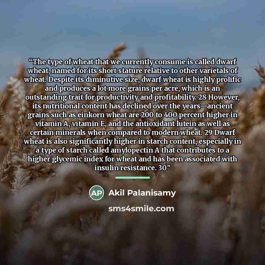 “The type of wheat that we currently consume is called dwarf wheat, named for its short stature relative to other varietals of wheat. Despite its diminutive size, dwarf wheat is highly prolific and produces a lot more grains per acre, which is an outstanding trait for productivity and…” quote by Akil Palanisamy