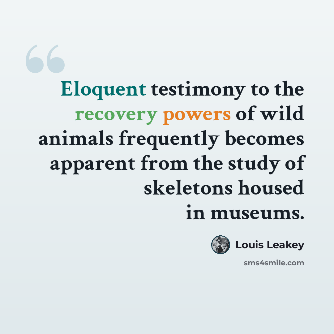 “Eloquent testimony to the recovery powers of wild animals frequently becomes apparent from the study of skeletons housed in museums.” quote by Louis Leakey