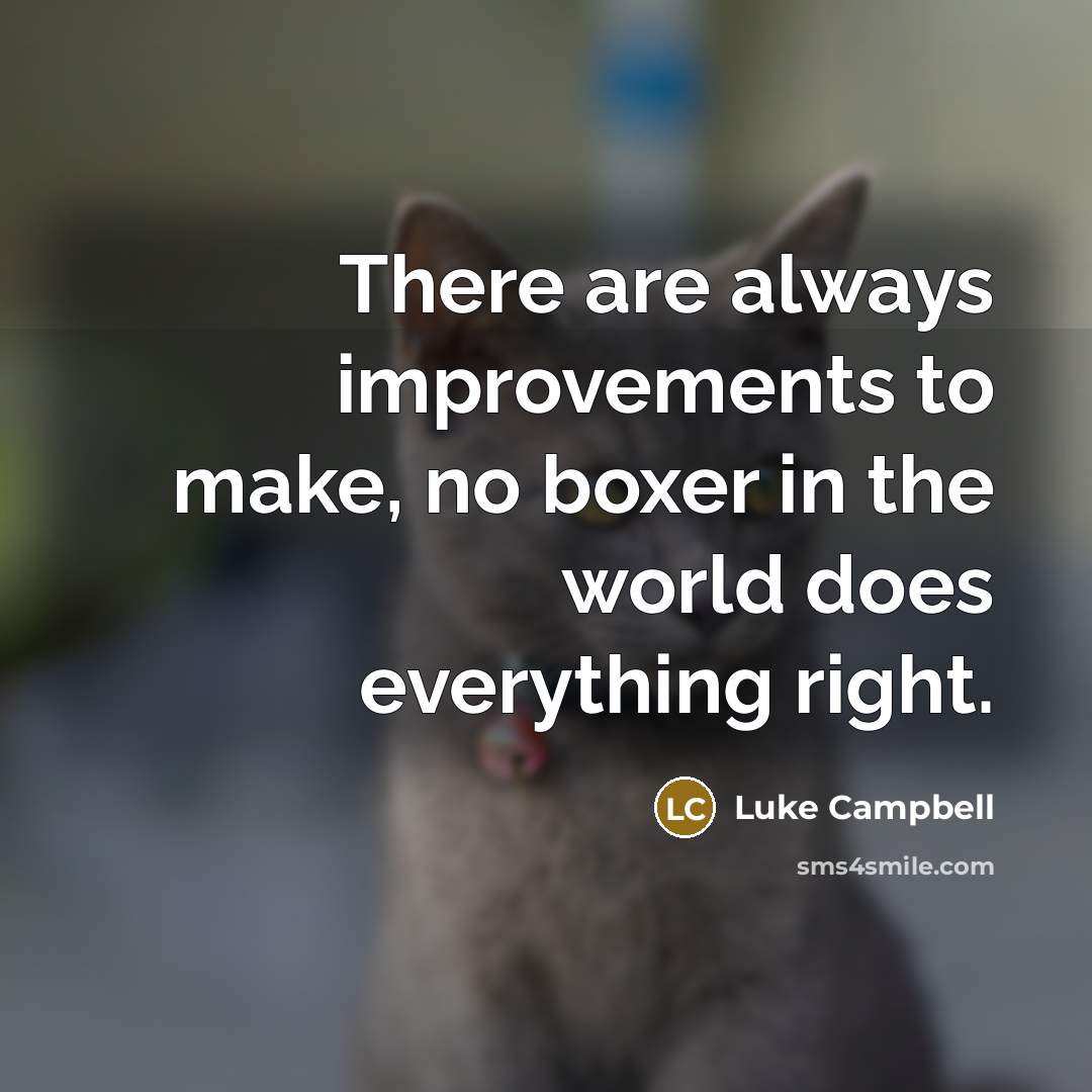 “There are always improvements to make, no boxer in the world does everything right.” quote by Luke Campbell