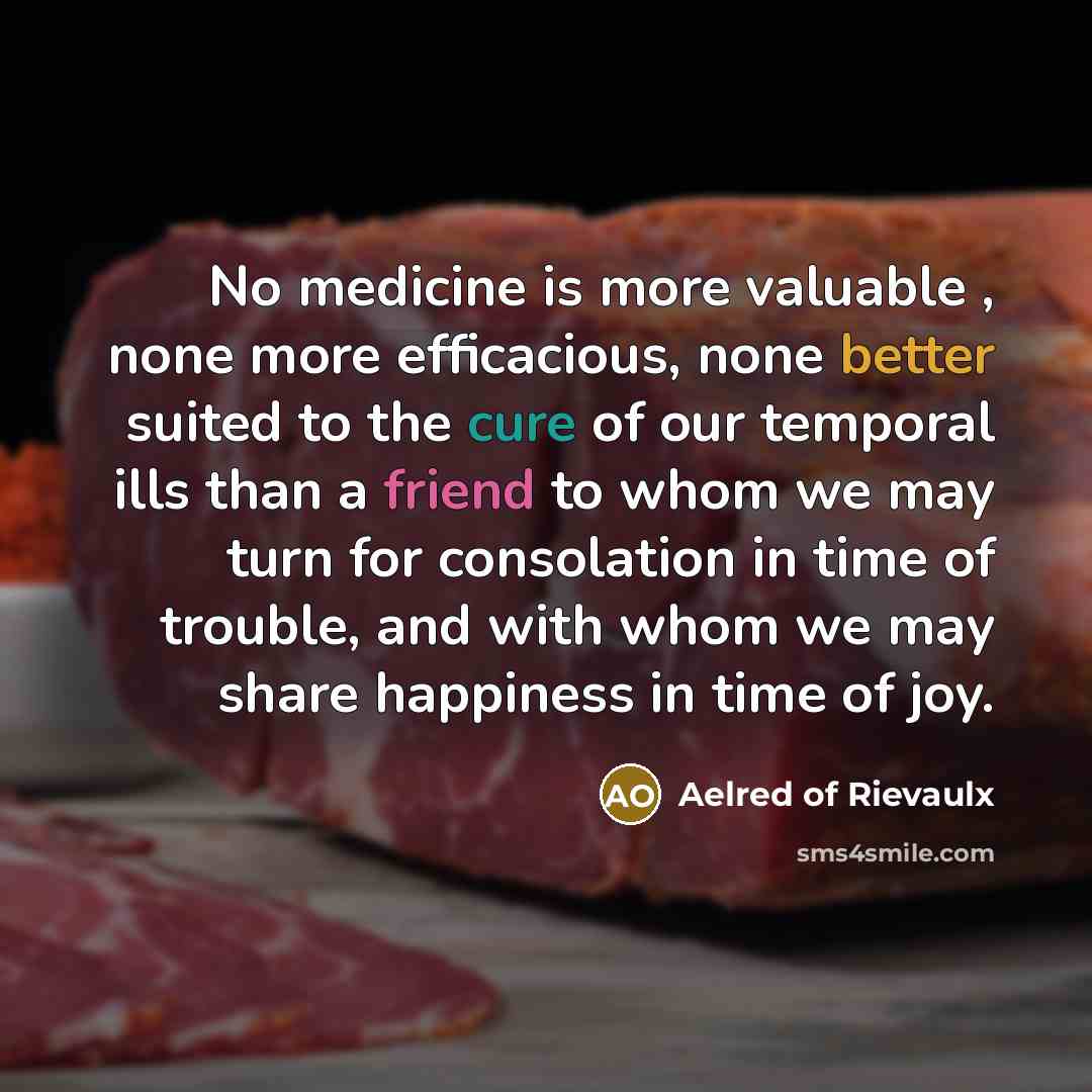 “No medicine is more valuable , none more efficacious, none better suited to the cure of our temporal ills than a friend to whom we may turn for consolation in time of trouble, and with whom we may share happiness in time of joy.” quote by Aelred of Rievaulx