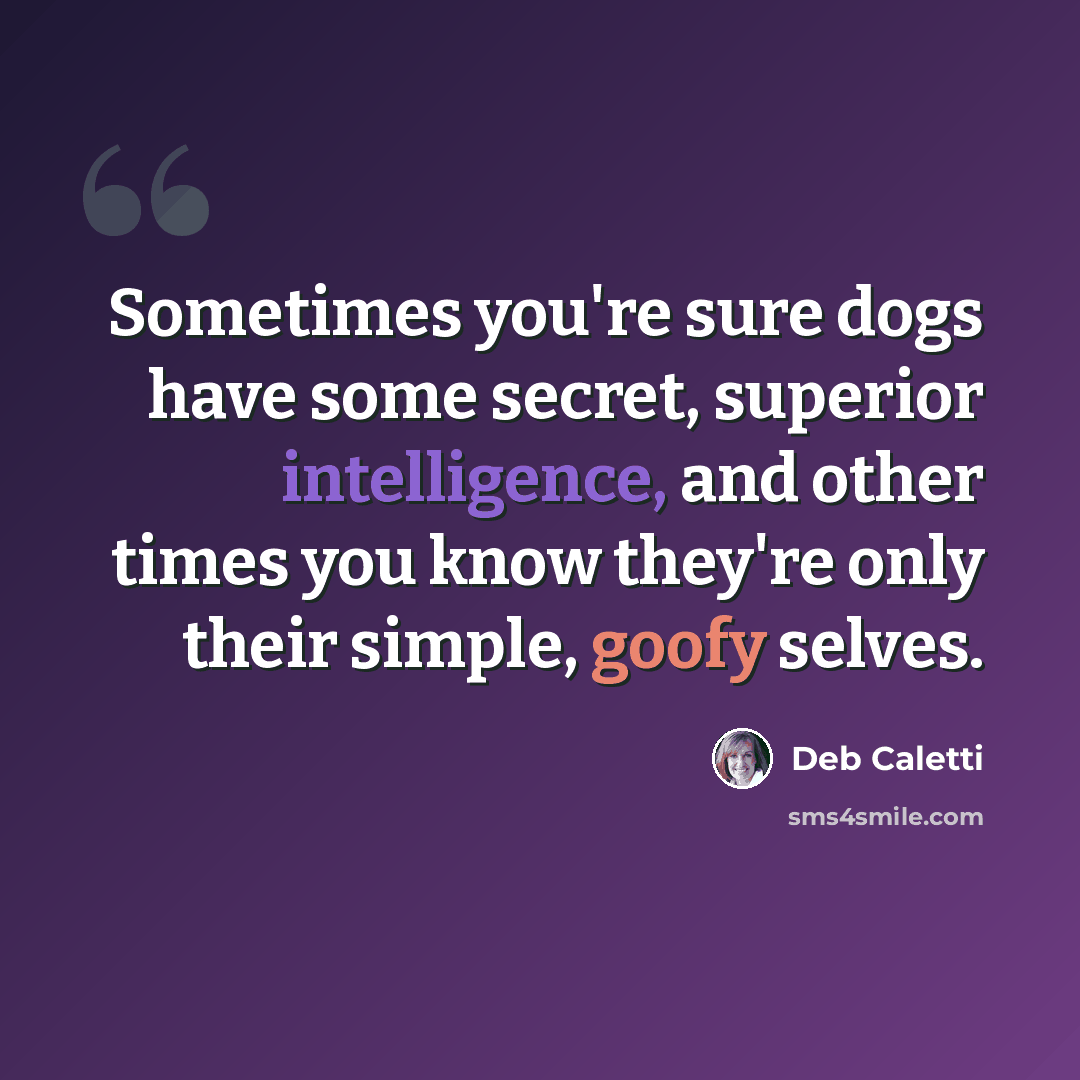 “Sometimes you're sure dogs have some secret, superior intelligence, and other times you know they're only their simple, goofy selves.” quote by Deb Caletti
