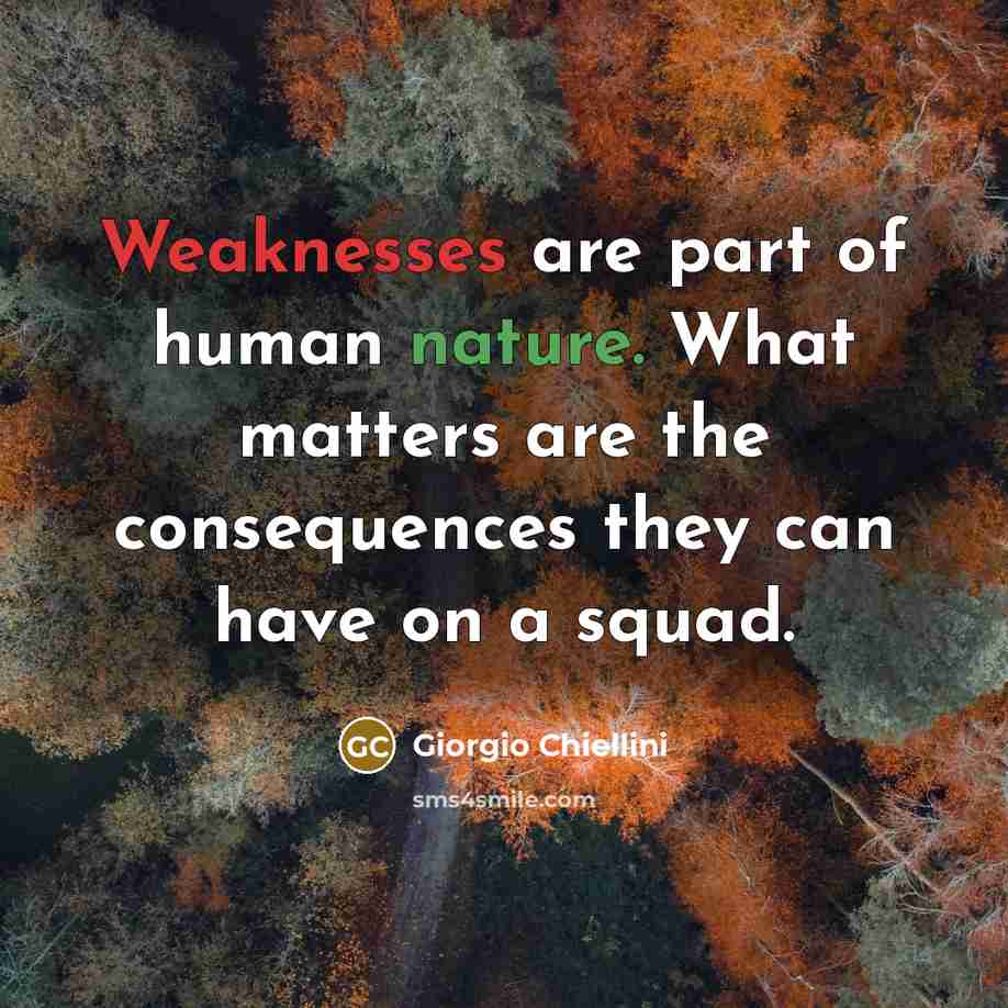 “Weaknesses are part of human nature. What matters are the consequences they can have on a squad.” quote by Giorgio Chiellini