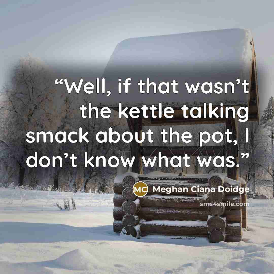 “Well, if that wasn’t the kettle talking smack about the pot, I don’t know what was.” quote by Meghan Ciana Doidge