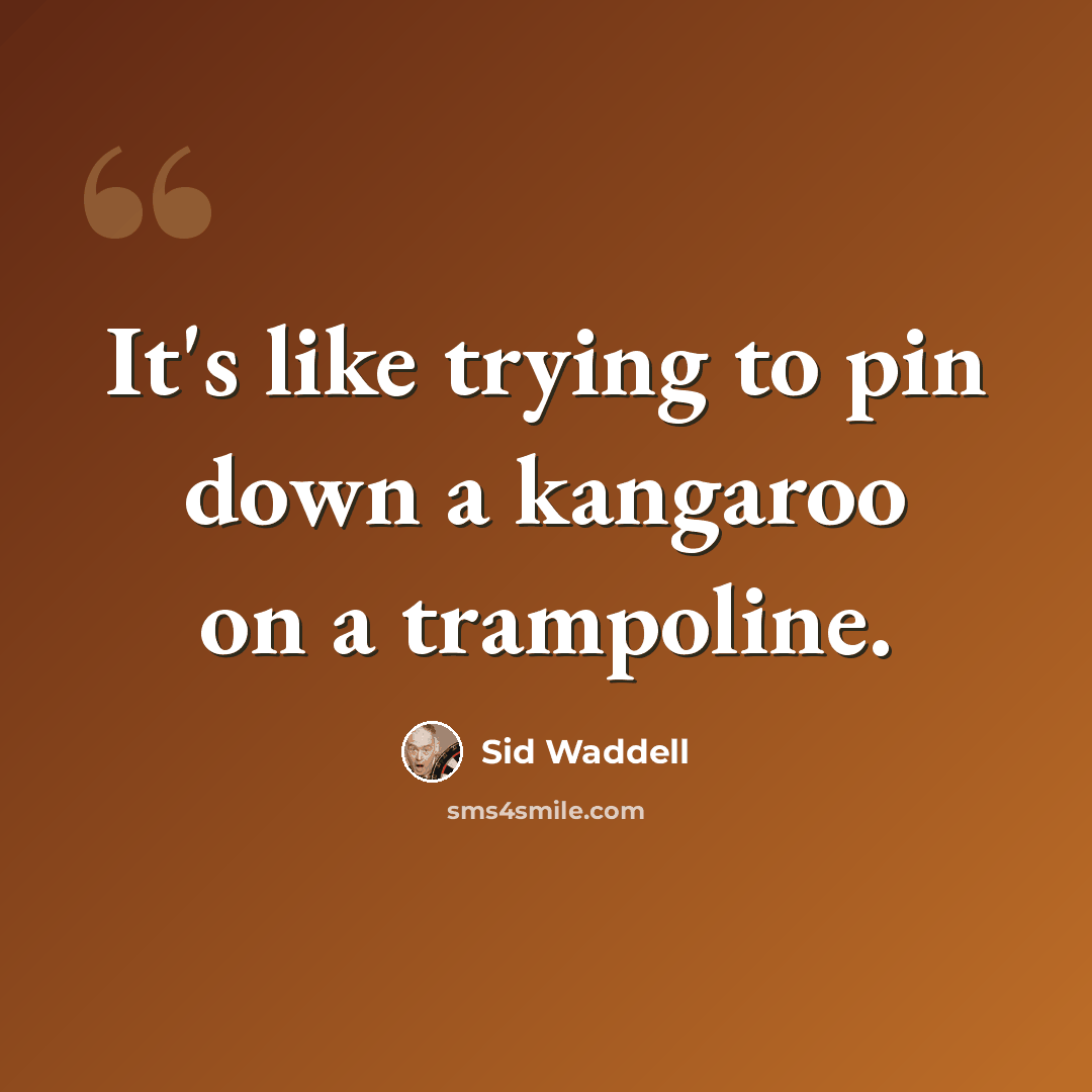 “It's like trying to pin down a kangaroo on a trampoline.” quote by Sid Waddell