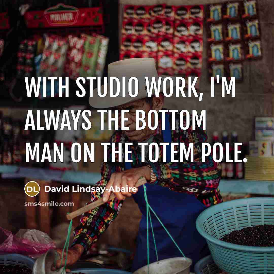 “With studio work, I'm always the bottom man on the totem pole.” quote by David Lindsay-Abaire