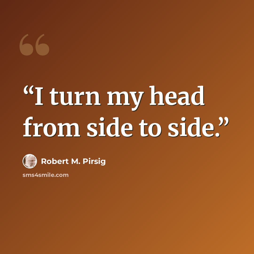 “I turn my head from side to side.” quote by Robert M. Pirsig
