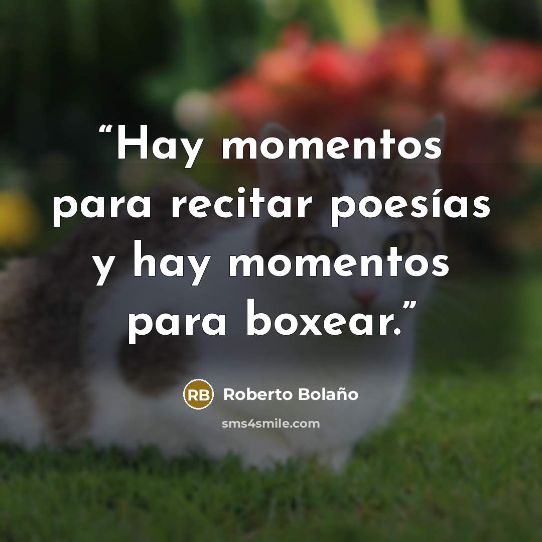 “Hay momentos para recitar poesías y hay momentos para boxear.” quote by Roberto Bolaño