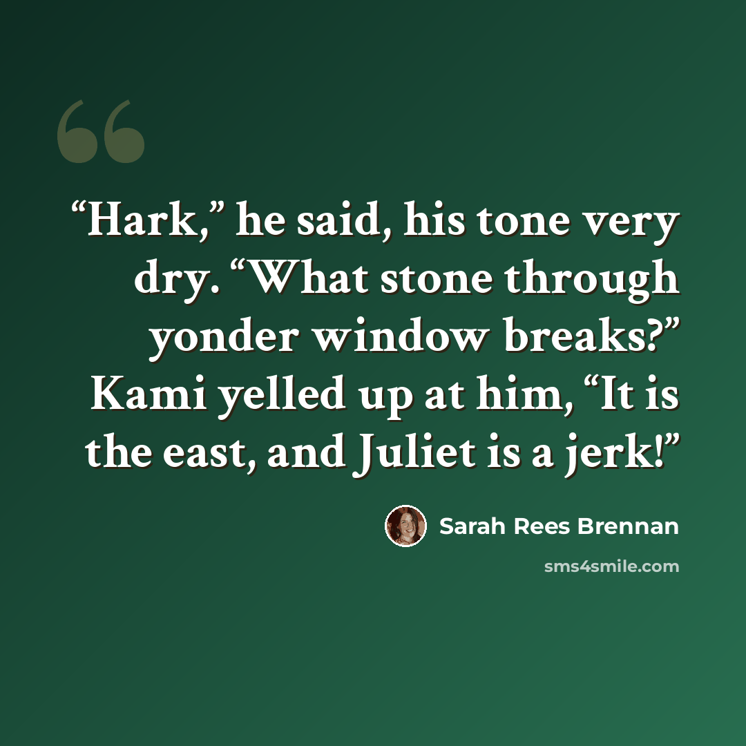 “Hark,” he said, his tone very dry. “What stone through yonder window breaks?” Kami yelled up at him, “It is the east, and Juliet is a jerk!” quote by Sarah Rees Brennan