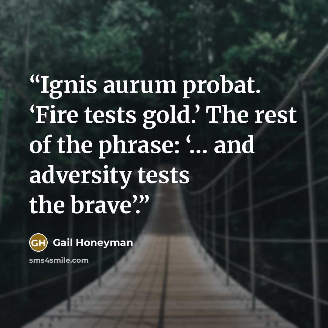 “Ignis aurum probat. ‘Fire tests gold.’ The rest of the phrase: ‘… and adversity tests the brave’.” quote by Gail Honeyman