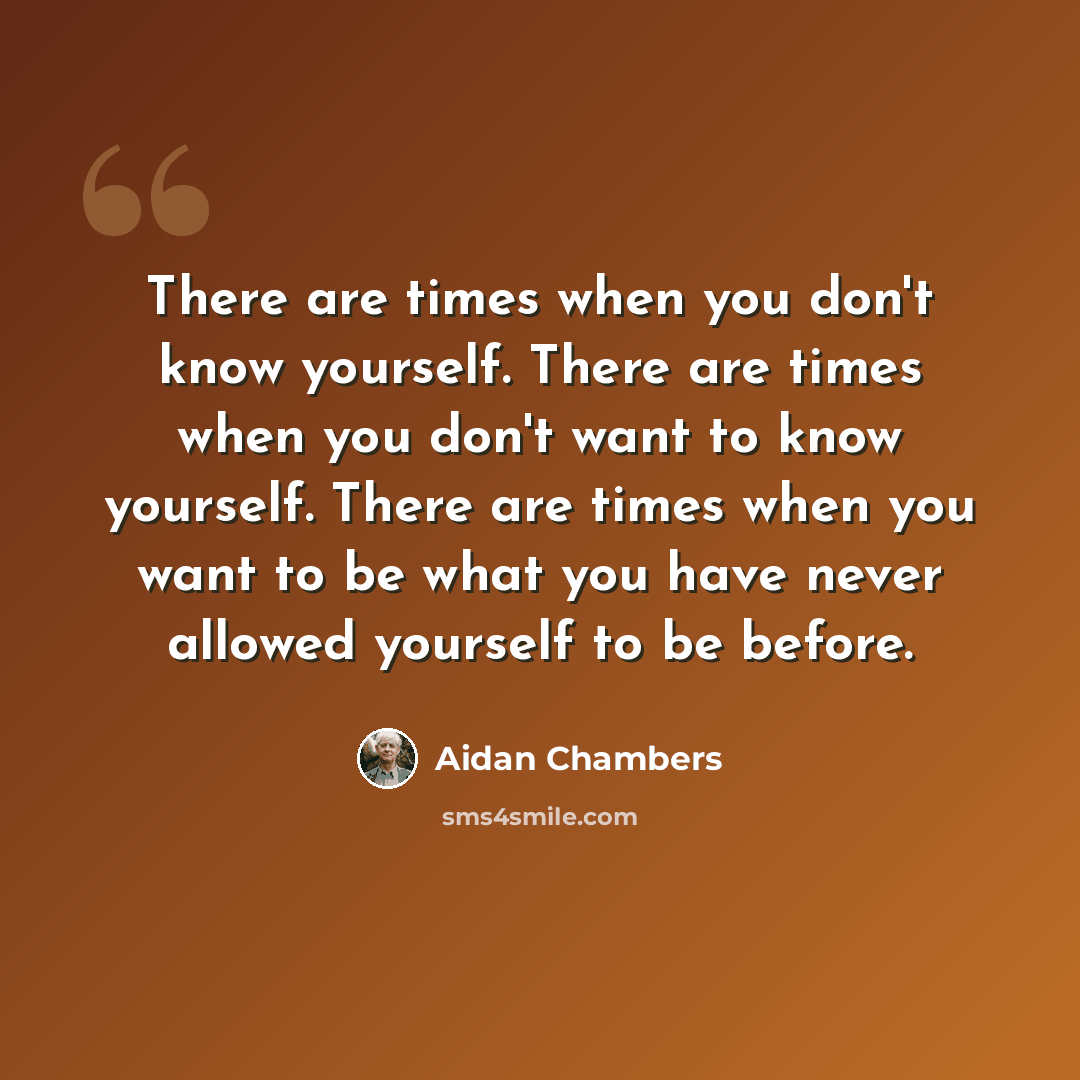 “There are times when you don't know yourself. There are times when you don't want to know yourself. There are times when you want to be what you have never allowed yourself to be before.” quote by Aidan Chambers