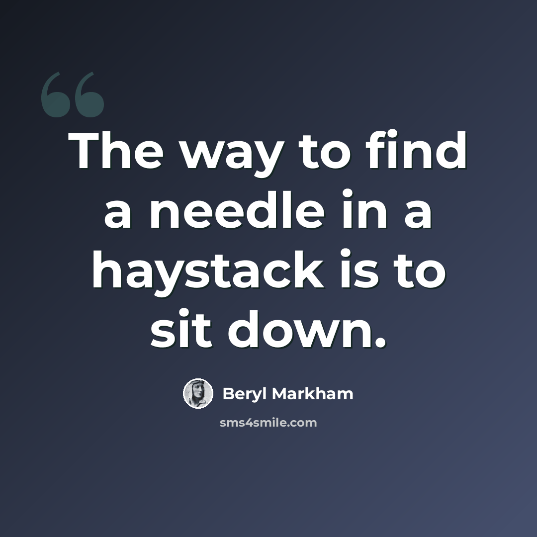 “The way to find a needle in a haystack is to sit down.” quote by Beryl Markham