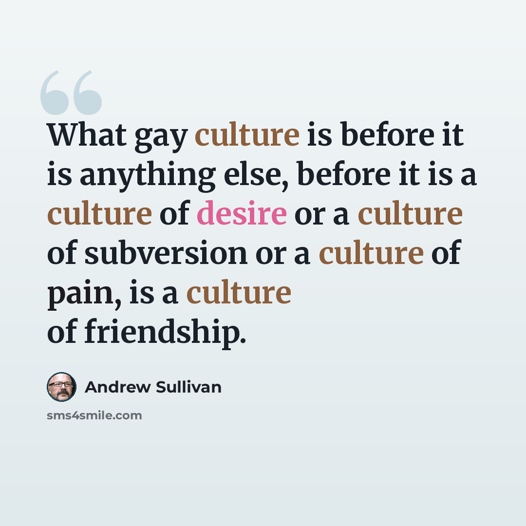 “What gay culture is before it is anything else, before it is a culture of desire or a culture of subversion or a culture of pain, is a culture of friendship.” quote by Andrew Sullivan