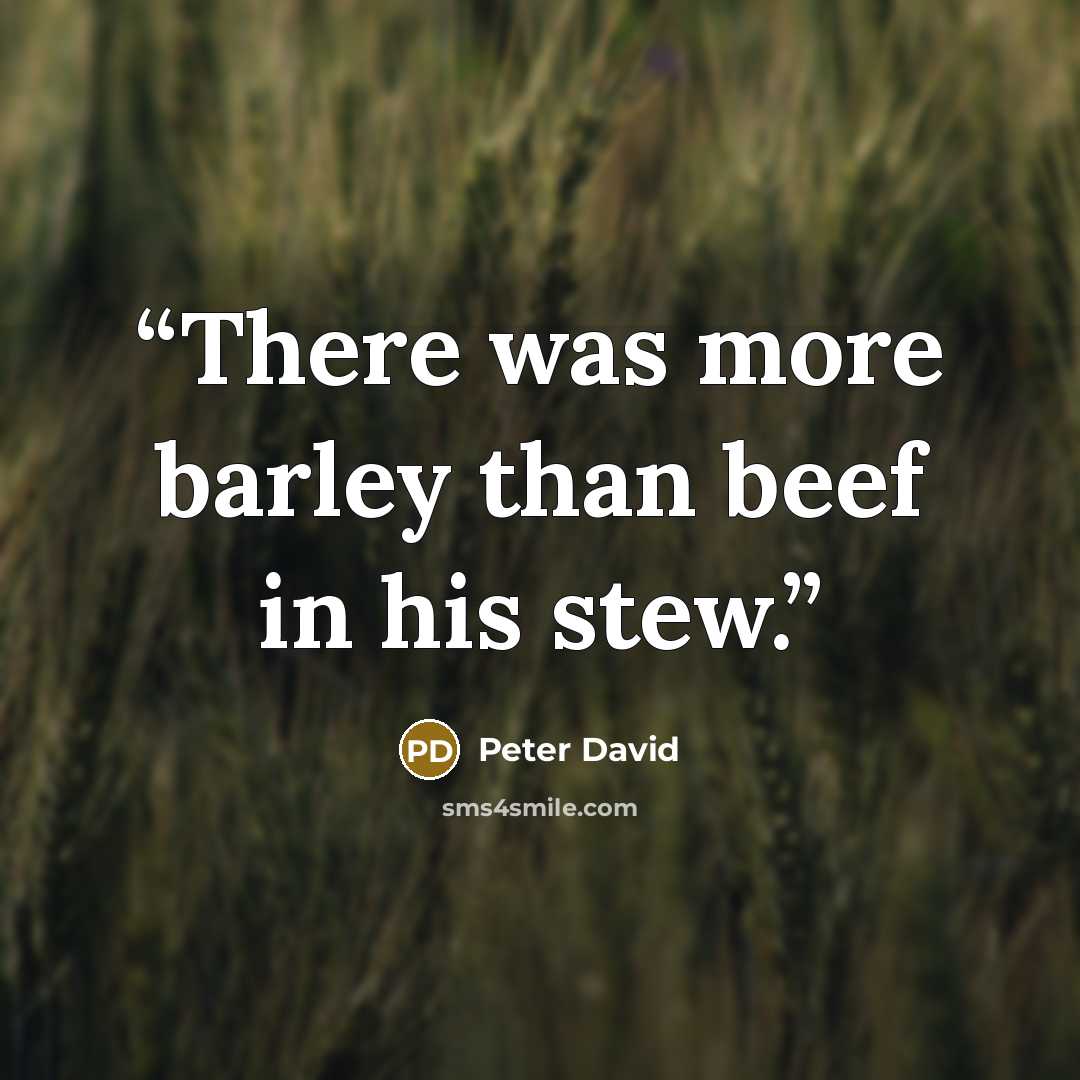 “There was more barley than beef in his stew.” quote by peter david