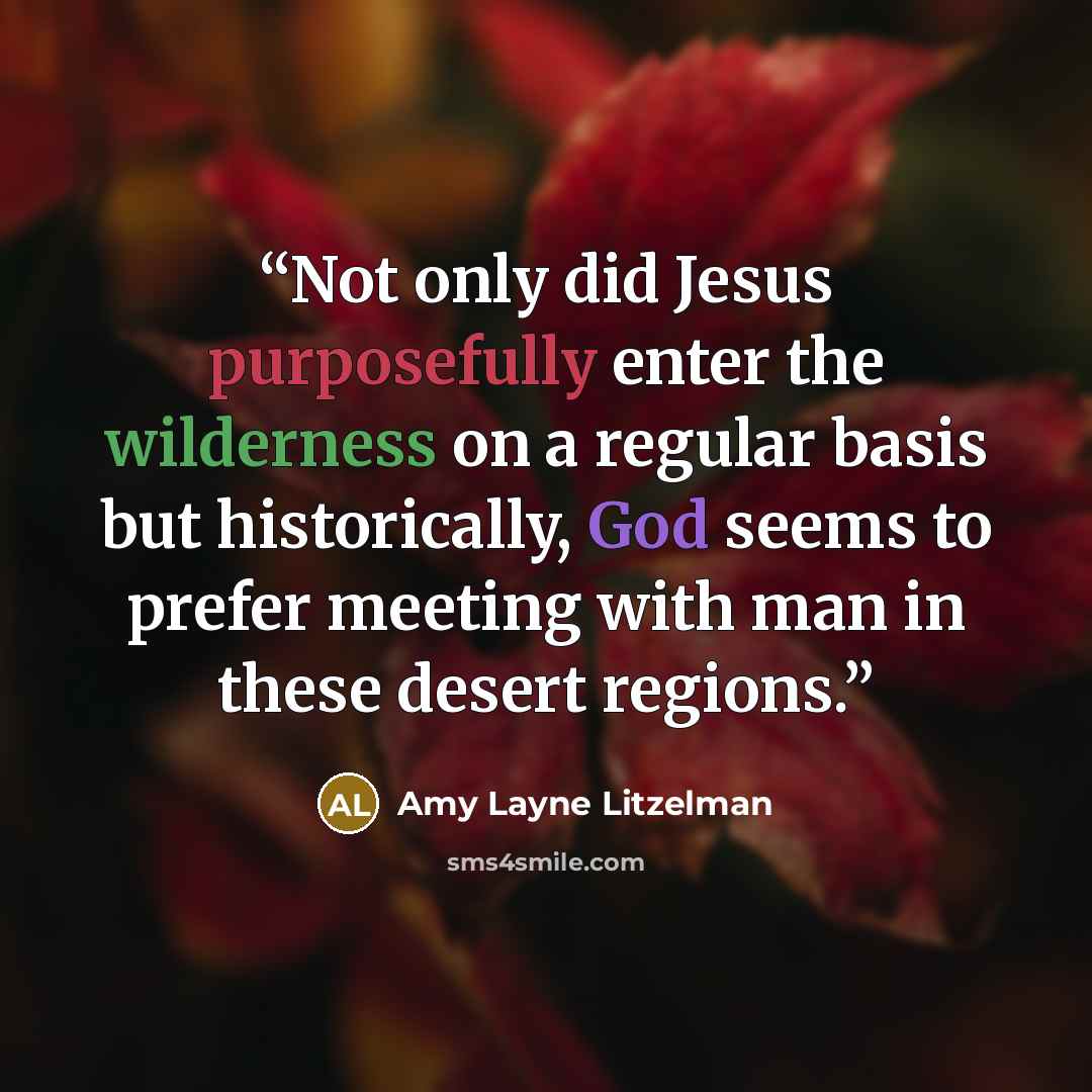 “Not only did Jesus purposefully enter the wilderness on a regular basis but historically, God seems to prefer meeting with man in these desert regions.” quote by Amy Layne Litzelman