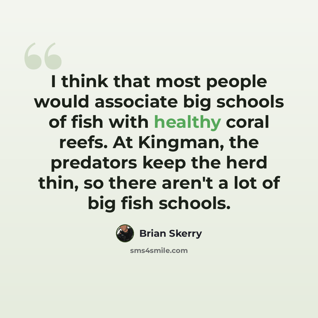 “I think that most people would associate big schools of fish with healthy coral reefs. At Kingman, the predators keep the herd thin, so there aren't a lot of big fish schools.” quote by Brian Skerry