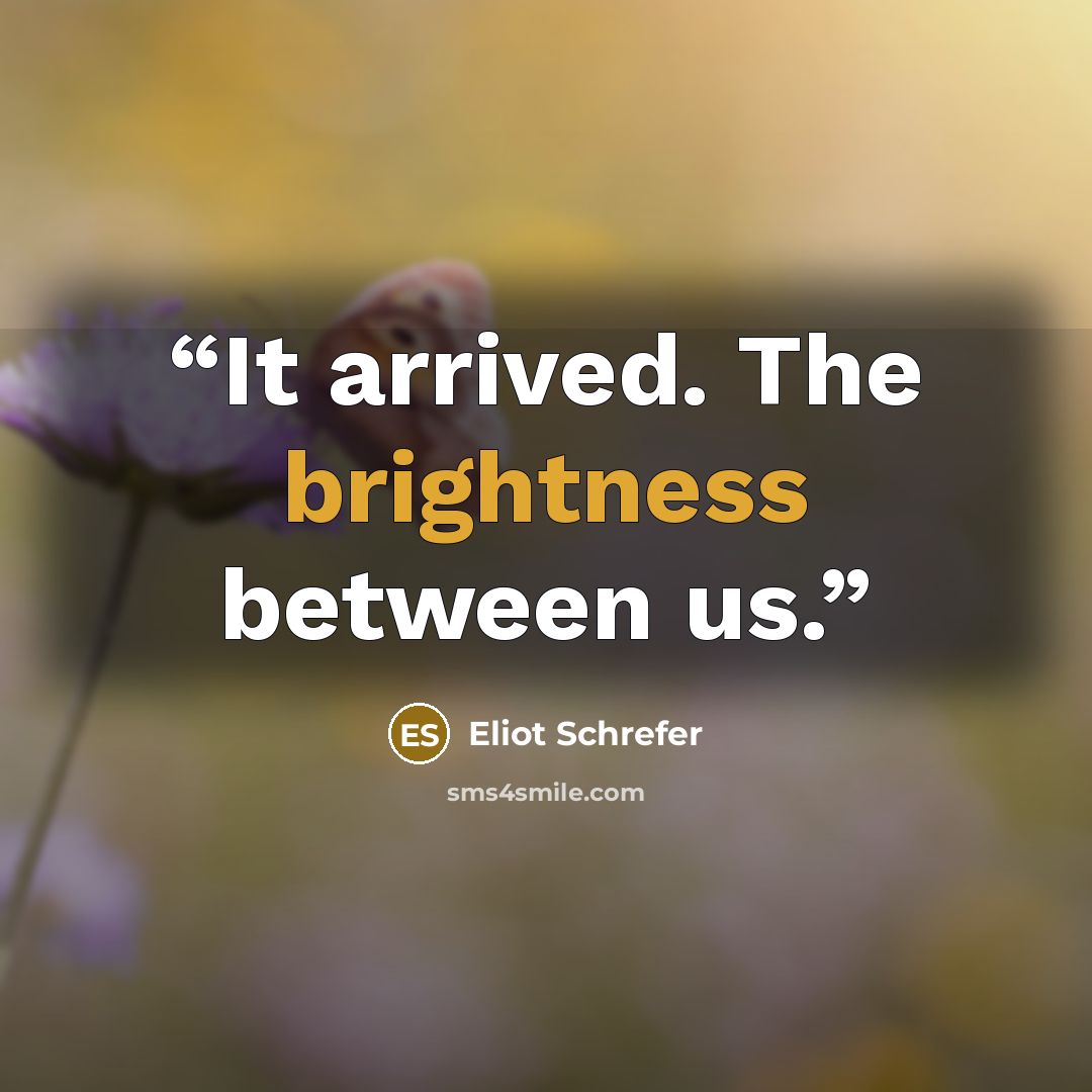 “It arrived. The brightness between us.” quote by Eliot Schrefer