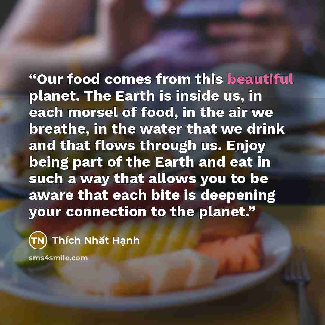 “Our food comes from this beautiful planet. The Earth is inside us, in each morsel of food, in the air we breathe, in the water that we drink and that flows through us. Enjoy being part of the Earth and eat in such a way that allows you to be aware that each bite is deepening your connection to the…” quote by Thich Nhat Hanh