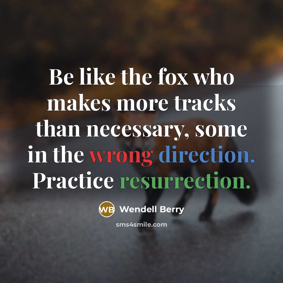 “Be like the fox who makes more tracks than necessary, some in the wrong direction. Practice resurrection.” quote by Wendell Berry