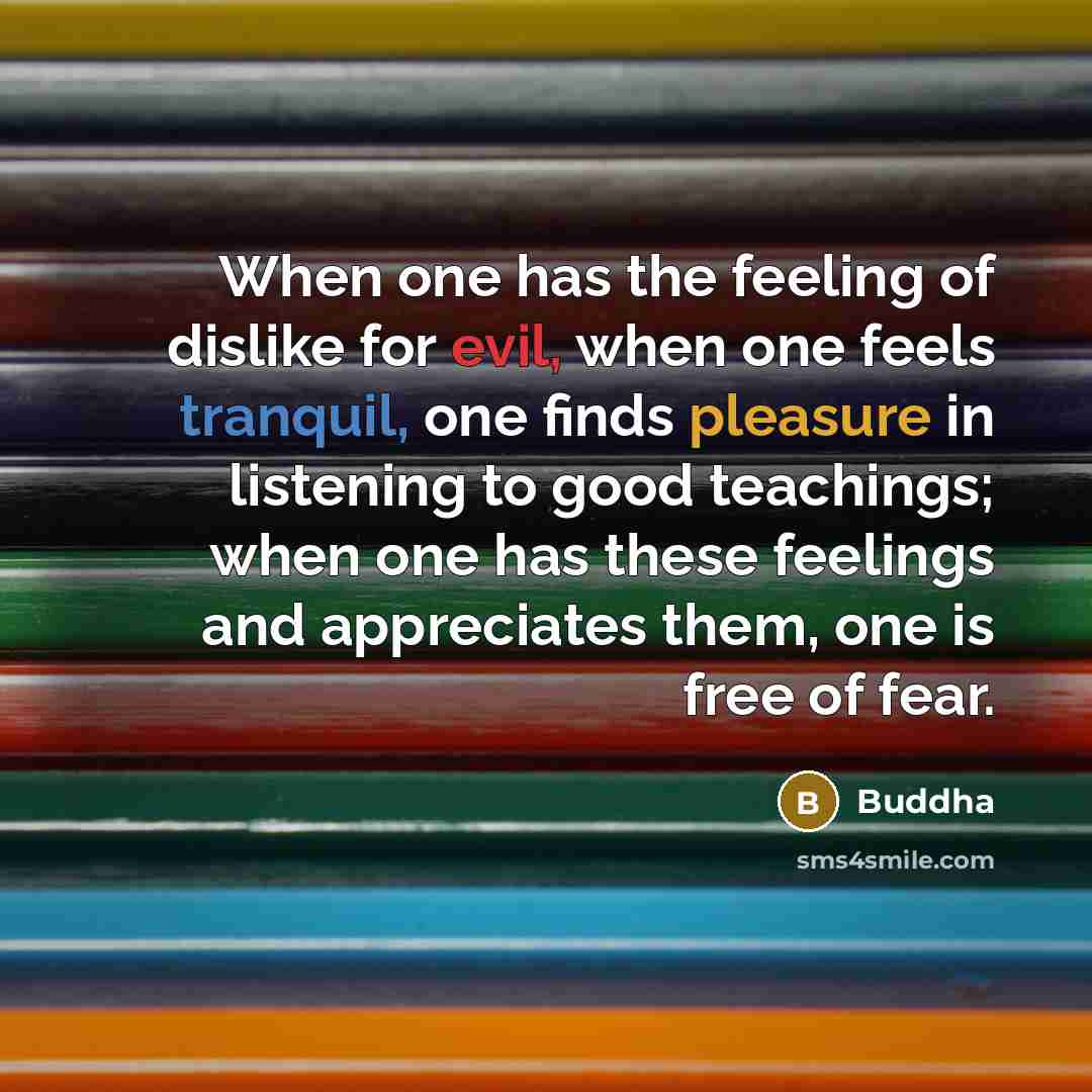 “When one has the feeling of dislike for evil, when one feels tranquil, one finds pleasure in listening to good teachings; when one has these feelings and appreciates them, one is free of fear.” quote by Buddha