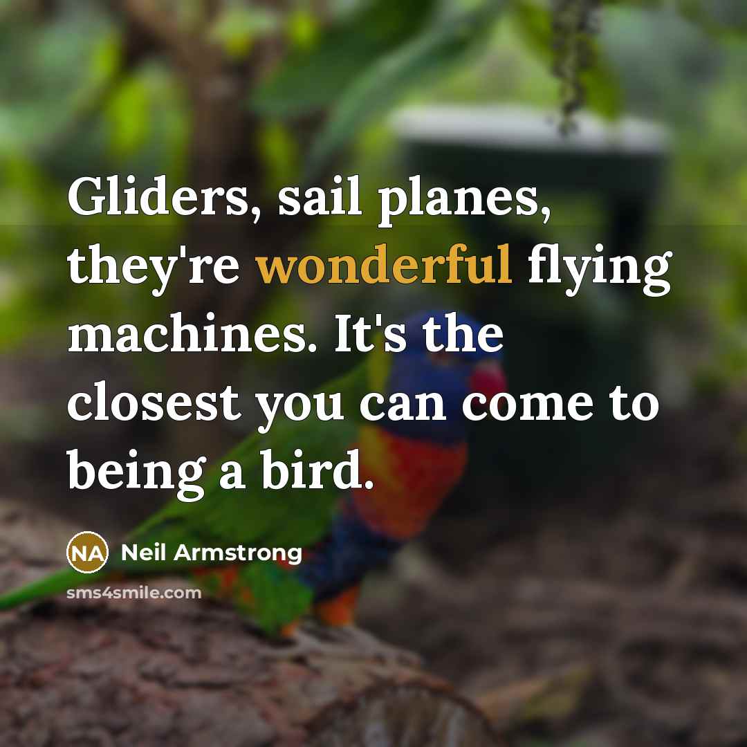 “Gliders, sail planes, they're wonderful flying machines. It's the closest you can come to being a bird.” quote by Neil Armstrong