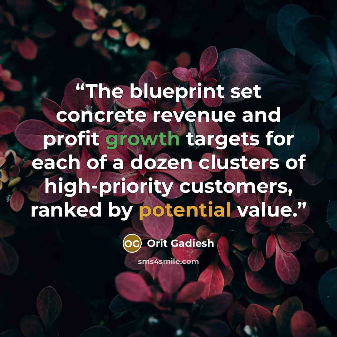 “The blueprint set concrete revenue and profit growth targets for each of a dozen clusters of high-priority customers, ranked by potential value.” quote by Orit Gadiesh