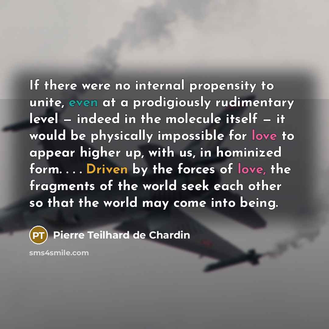 “If there were no internal propensity to unite, even at a prodigiously rudimentary level — indeed in the molecule itself — it would be physically impossible for love to appear higher up, with us, in hominized form. . . . Driven by the forces of love, the fragments of the world seek each other so…” quote by Pierre Teilhard de Chardin