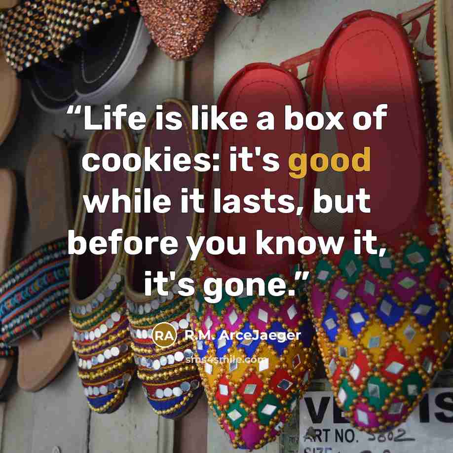 “Life is like a box of cookies: it's good while it lasts, but before you know it, it's gone.” quote by R.M. ArceJaeger